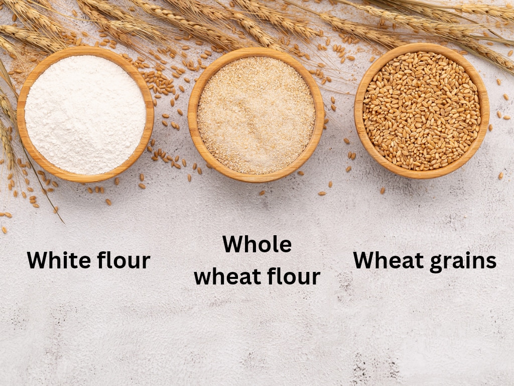 What is the difference between all-purpose flour and whole-wheat flour