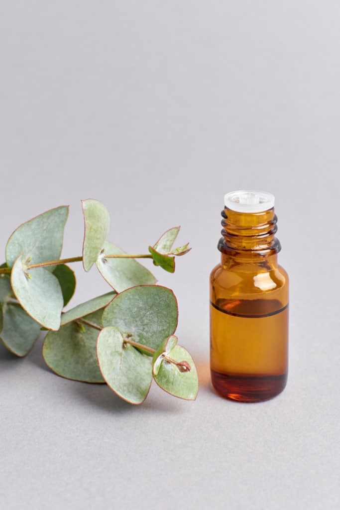 Eucalyptus essential oil
Cold and flue remedy