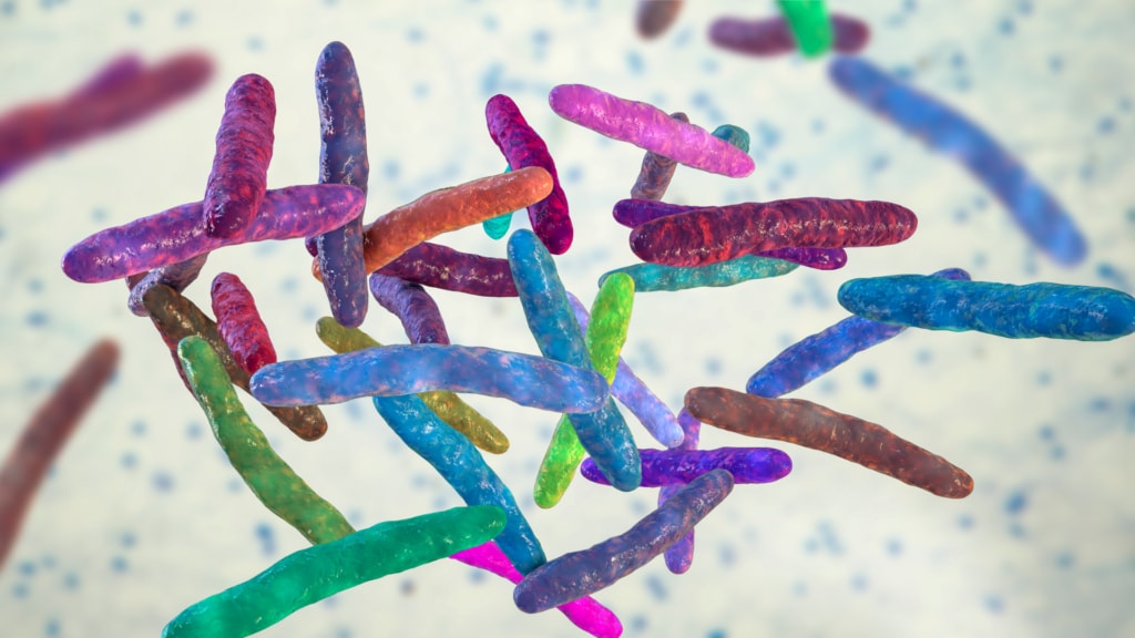 Illustration of Mycobacterium bovis