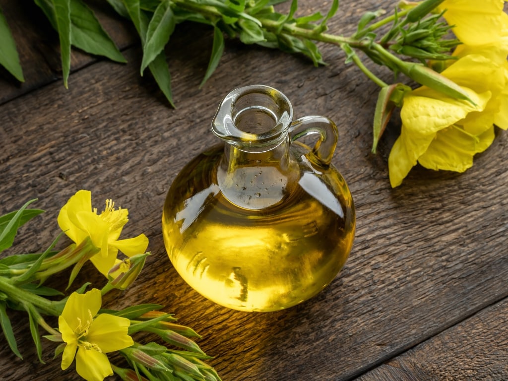 Evening primrose (Oenothera biennis) oil with evening primrose flowers