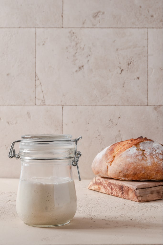 Sourdough starter
