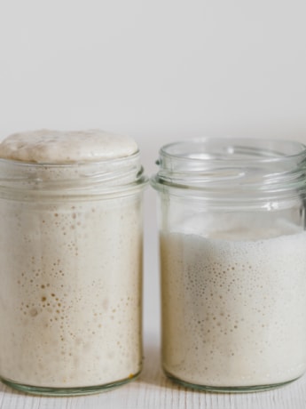 sourdough starter recipe how to make sourdough starter