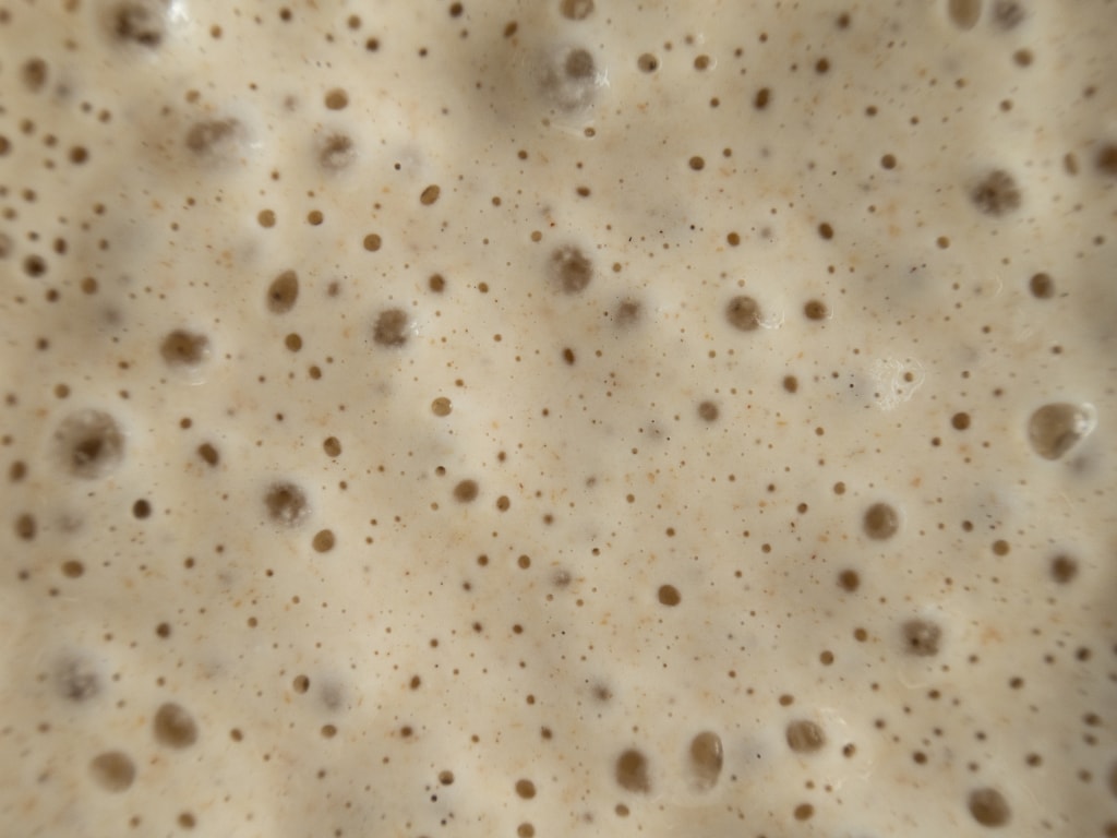 sourdough starter recipe
how to make sourdough starter